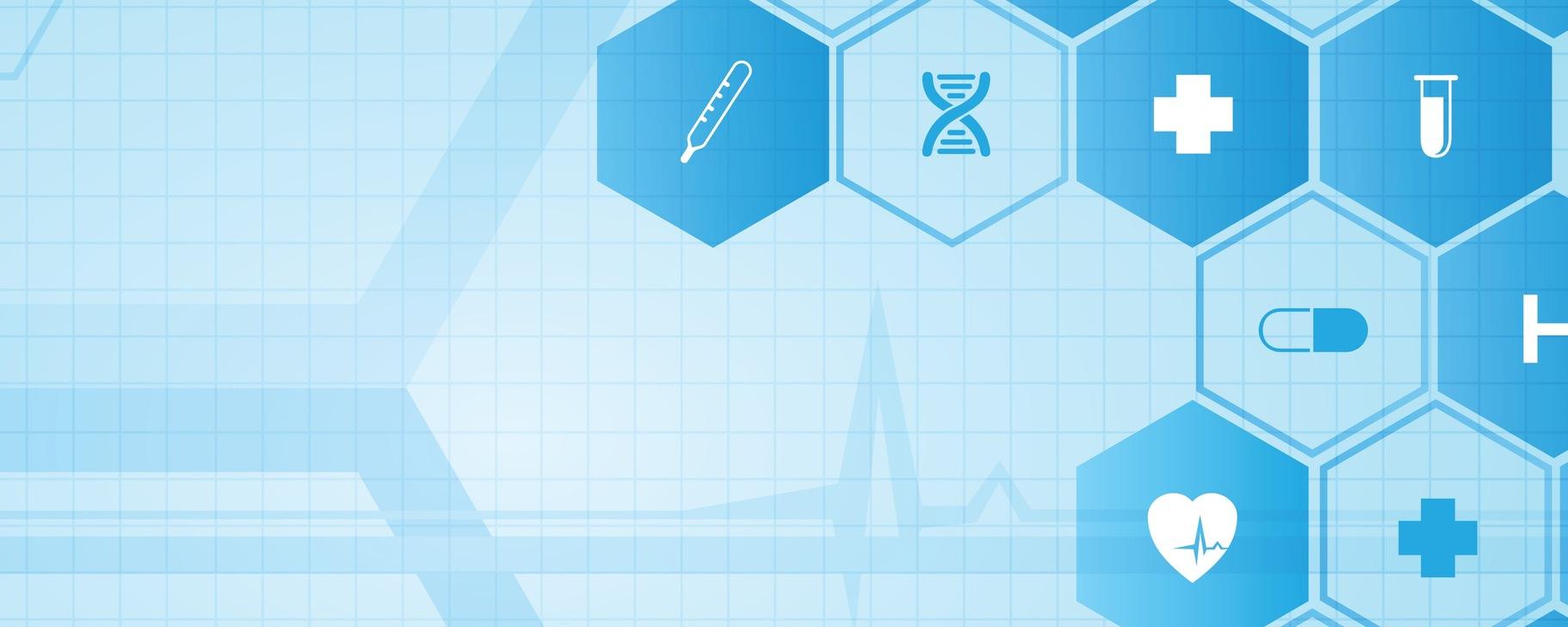 The Best Collection 2024-25